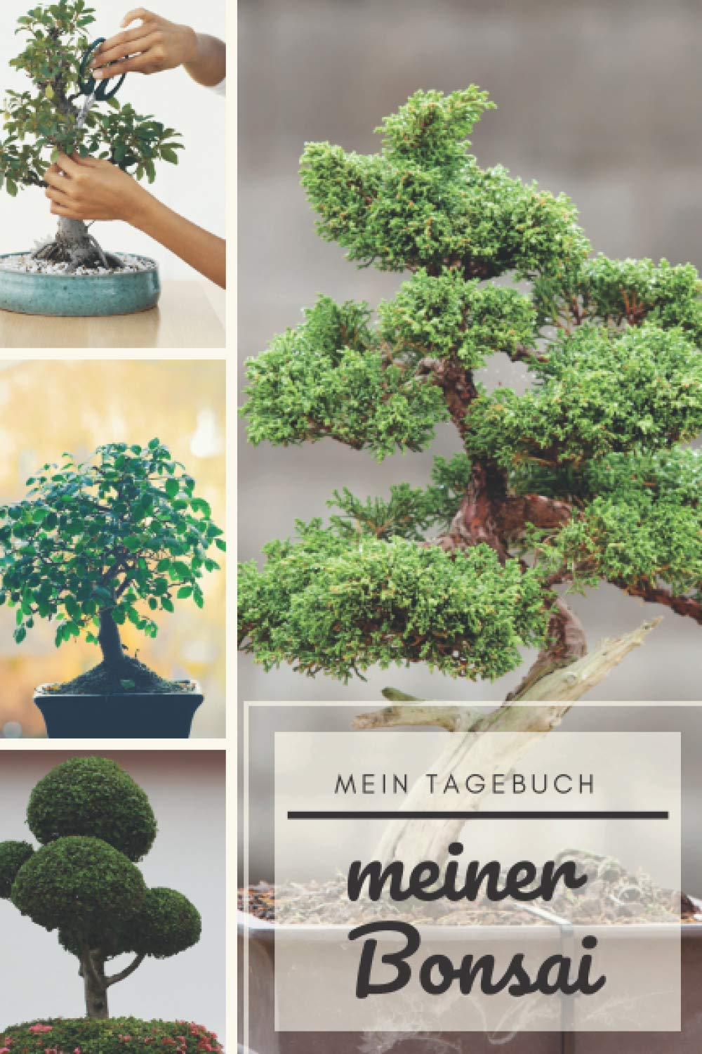 Das Tagebuch meines Bonsais: Diese Zeitschrift ermöglicht es Ihnen, das Wachstum Ihres Bonsai im Laufe der Zeit zu verfolgen. Dies ist ein ideales Logbuch, das Folgendes bietet baixar o livro de graça