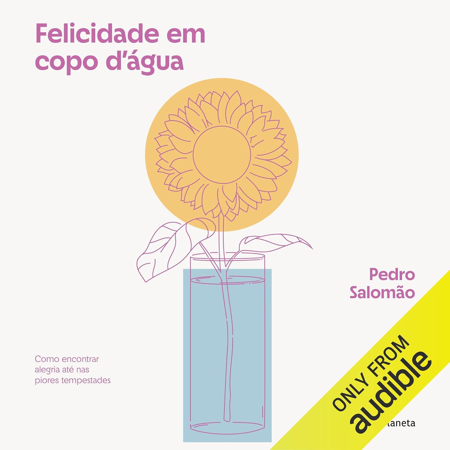 capítulo por capítulo baixar Felicidade em copo d'agua: Como encontrar alegria até nas piores tempestades