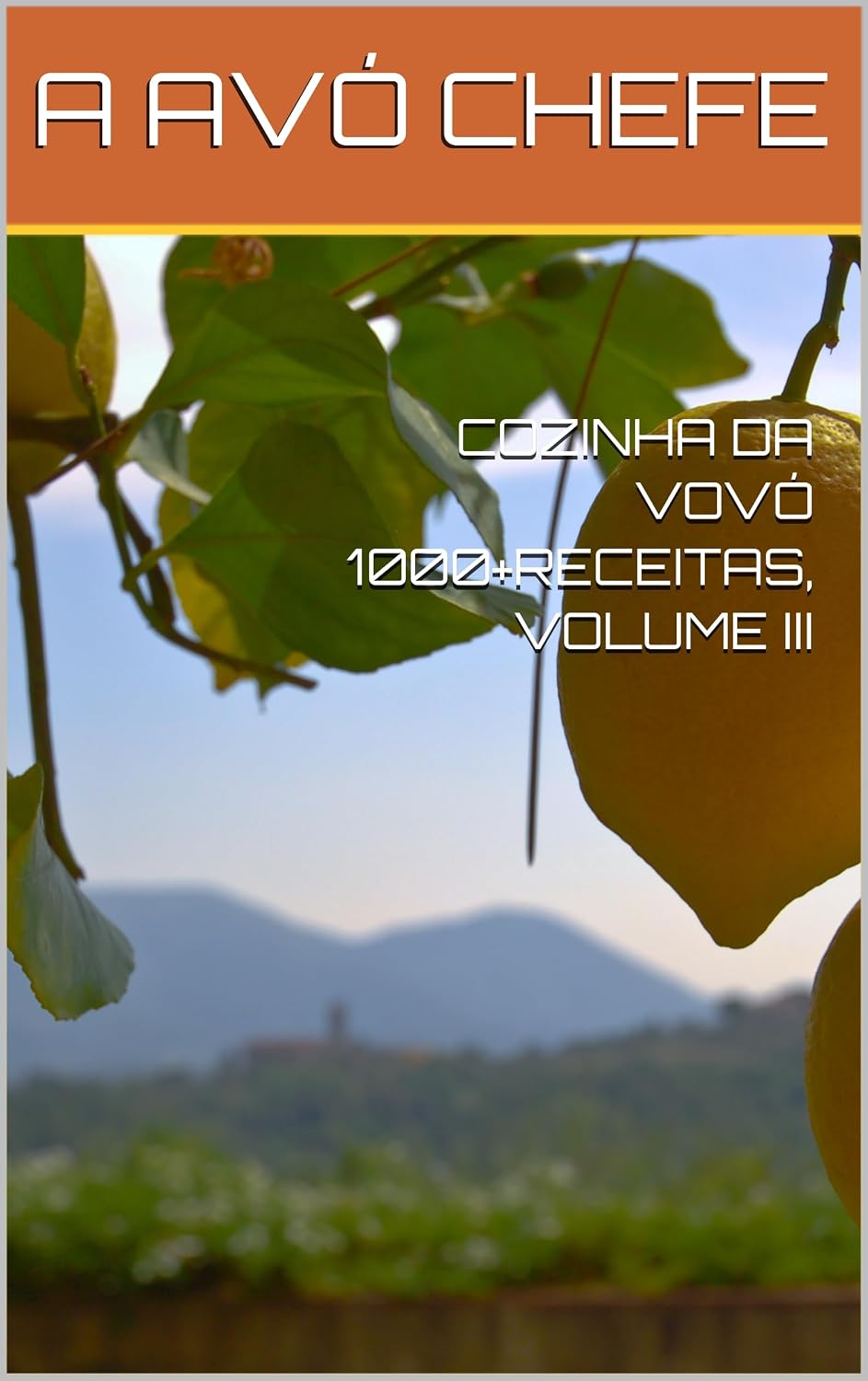 ler totalmente COZINHA DA VOVÓ 1000+RECEITAS, VOLUME III (COZINHA DA VOVÓ - MAIS DE 1000 RECEITAS Livro 3)
