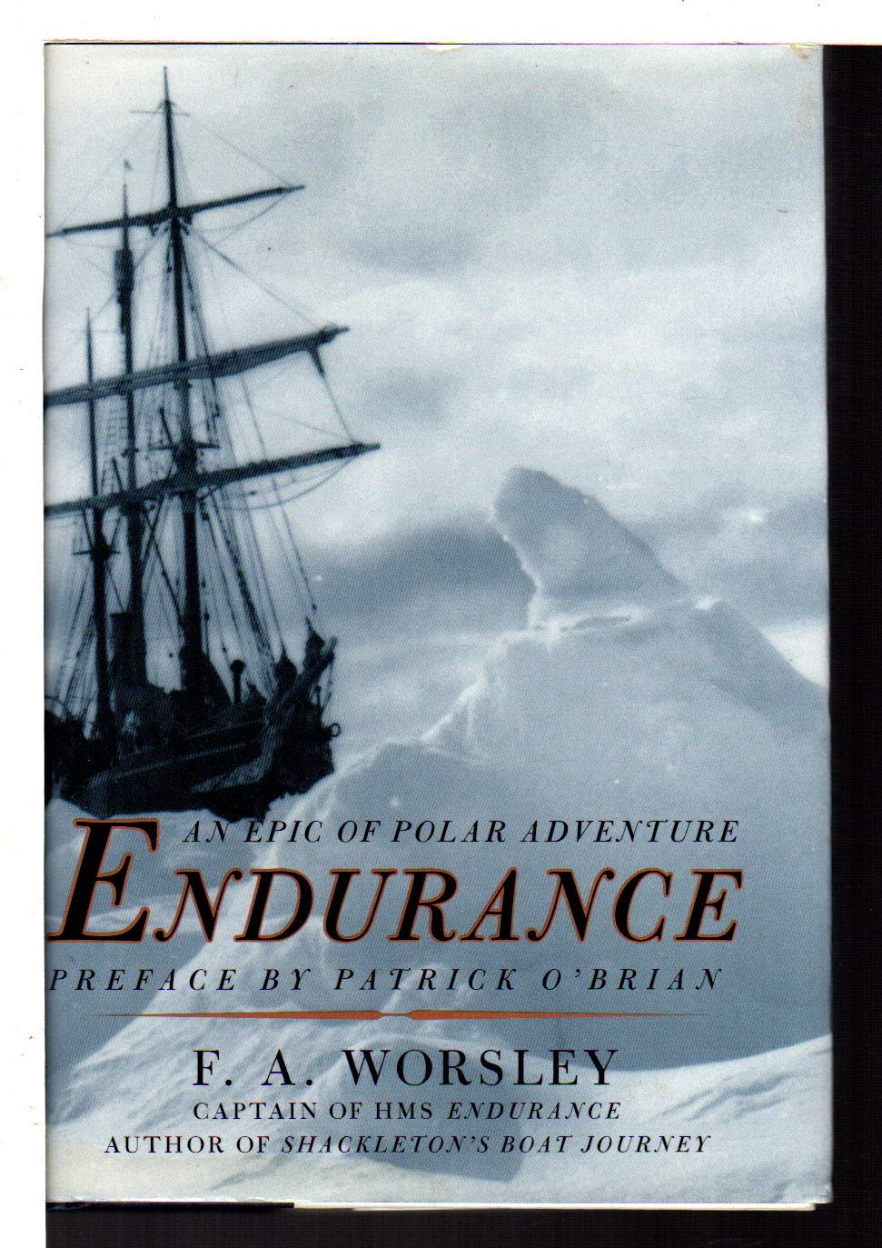 Endurance – An Epic of Polar Adventure baixar livro de graça