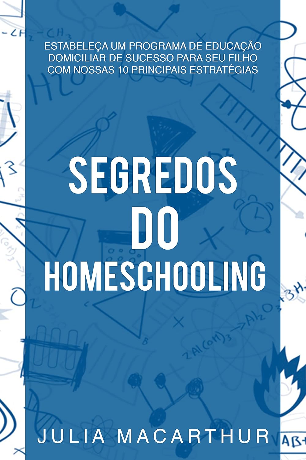 Segredos Do Homeschooling: Estabeleça Um Programa De Educação Domiciliar De Sucesso Para Seu Filho Com Nossas 10 Principais Estratégias baixar livro de graça