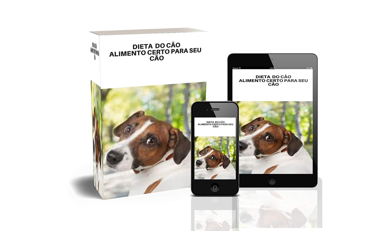 DIETA DO SEU CÃO: ALIMENTO CERTO PARA SEU CÃO baixar livro de graça