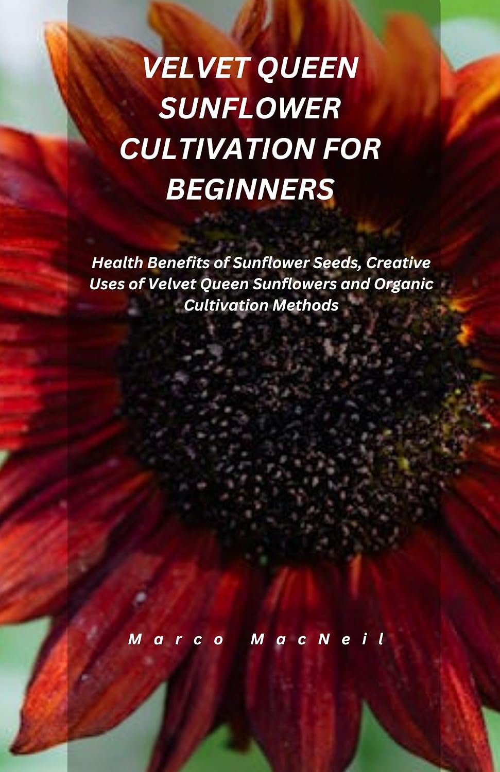 VELVET QUEEN SUNFLOWER CULTIVATION FOR BEGINNERS: Health Benefits of Sunflower Seeds, Creative Uses of Velvet Queen Sunflowers and Organic Cultivation Methods (English Edition) baixar livro de graça