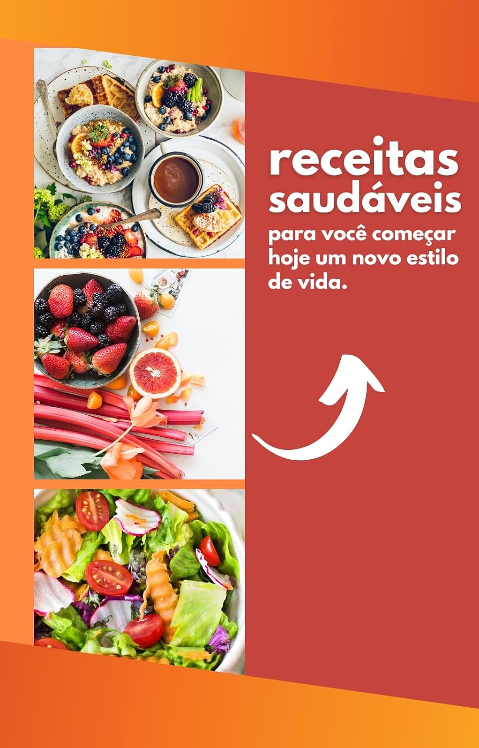 Receitas saudáveis baixar livro de graça
