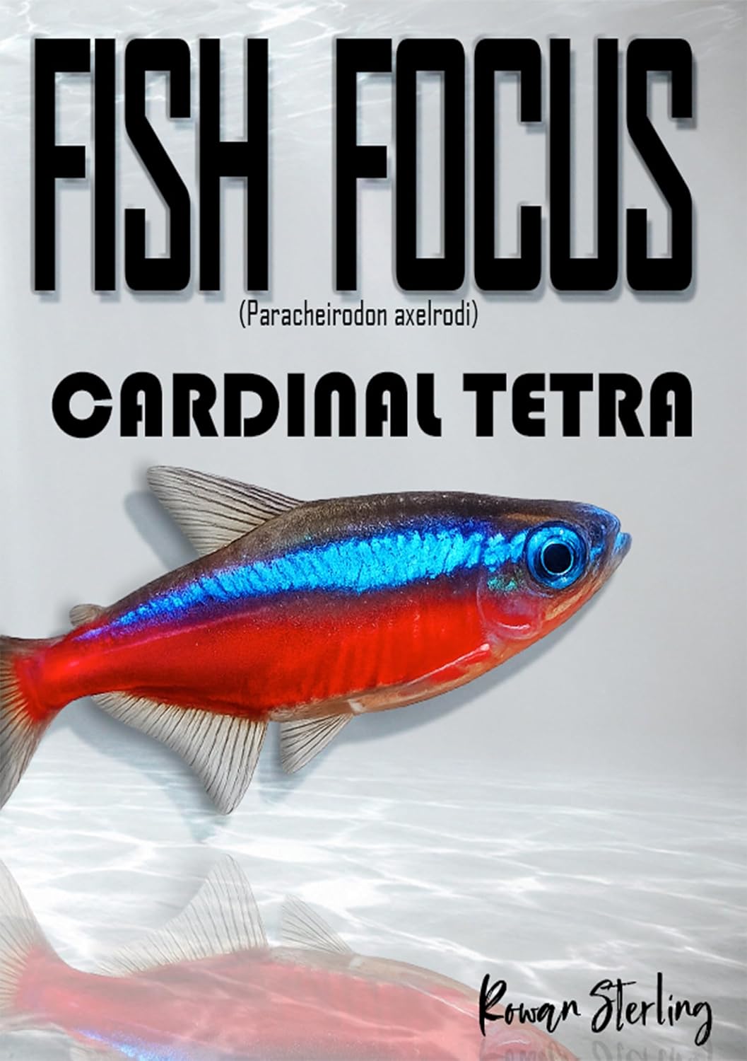 ler totalmente Fish Focus: Cardinal Tetra (Paracheirodon axelrodi): Behaviour, Care, and Natural Habitat Guide (English Edition)