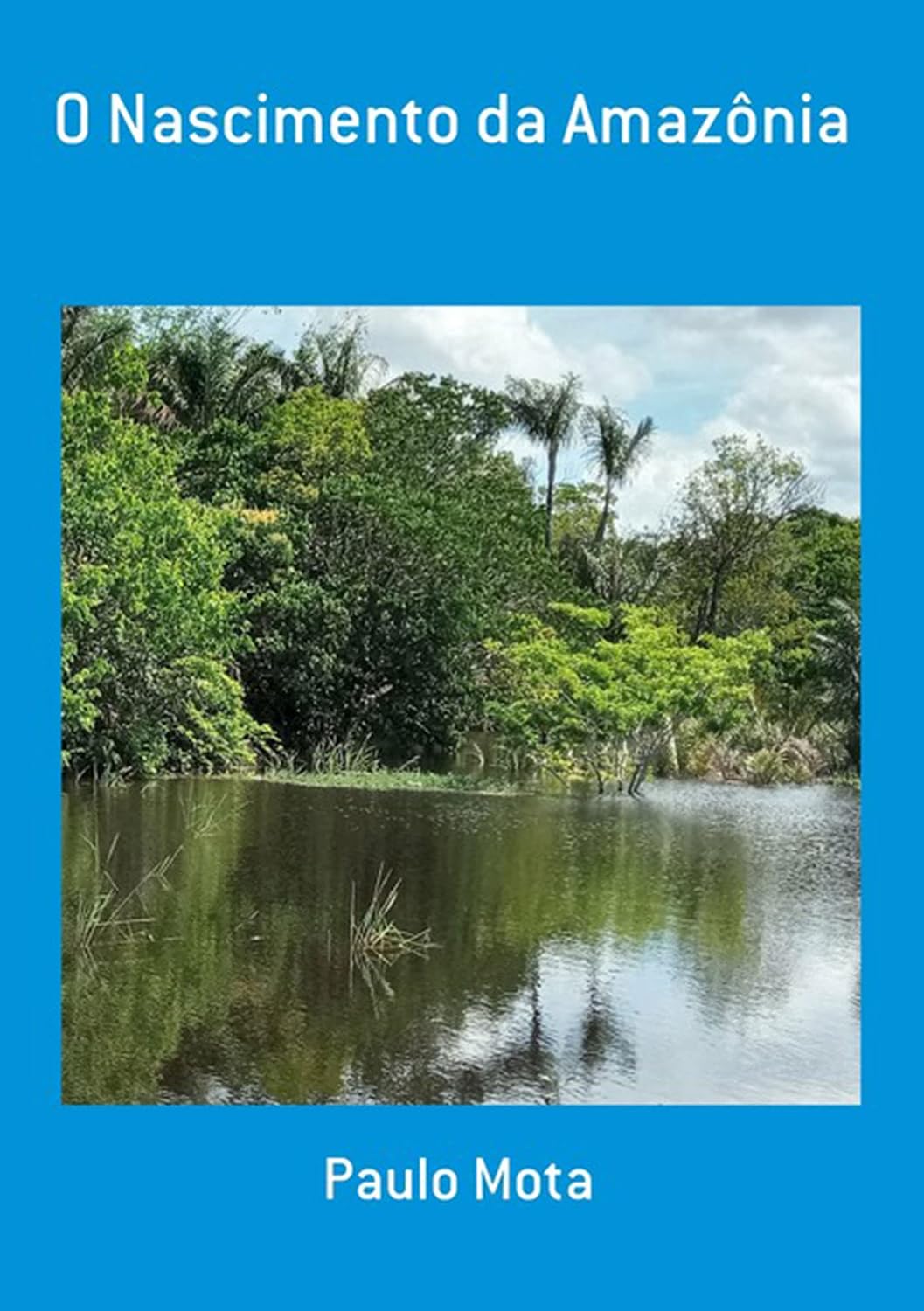 O Nascimento Da Amazônia baixar livro de graça