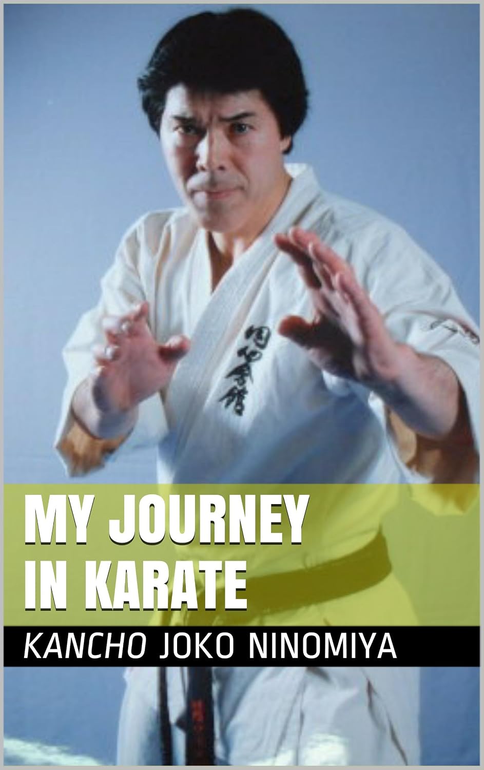 My Journey in Karate (English Edition) baixar livro de graça