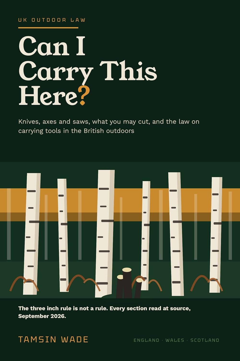 Can I Carry This Here?: The UK Guide to Knife Law, Axes, Saws and What You May Cut in the British Outdoors (English Edition) baixar livro de graça