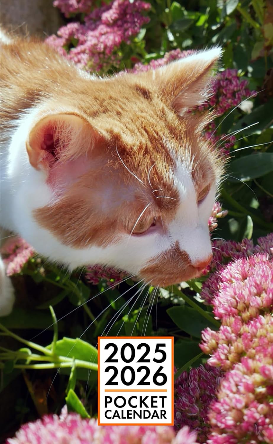 Pocket Calendar 2025-2026 for Purse - Parys Cat v4 | 2 Year Pocket Planner January 2025 - December 2026 | Small Pocket Size 4 x 6.5 | Sketches of Cats in the Middle baixar livro de graça