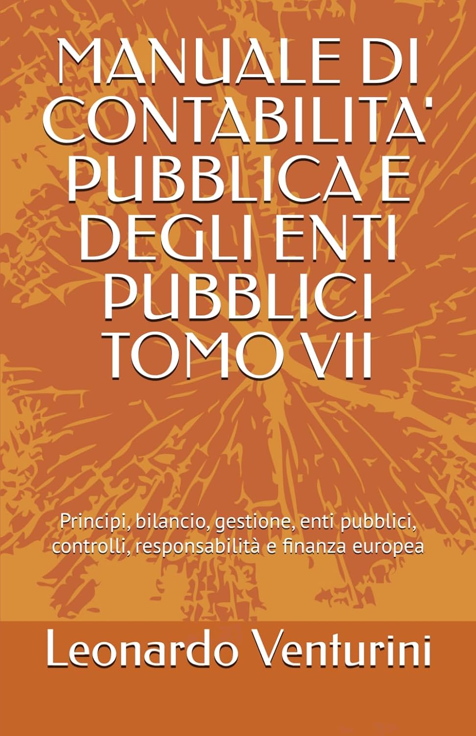 MANUALE DI CONTABILITA' PUBBLICA E DEGLI ENTI PUBBLICI TOMO VII: Principi, bilancio, gestione, enti pubblici, controlli, responsabilità e finanza europea (Italian Edition) baixar livro de graça