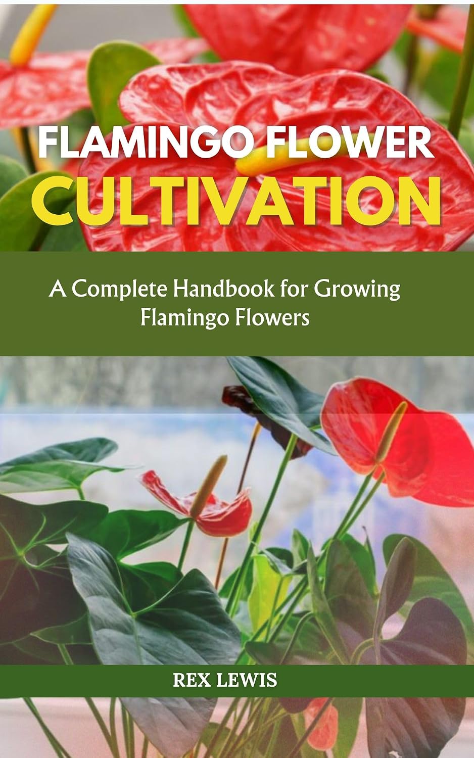 FLAMINGO FLOWER CULTIVATION: A Complete Handbook for Growing Flamingo Flowers (English Edition) baixar o livro de graça