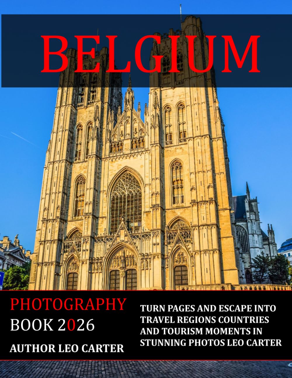 Belgium: A Collection of 40 Scenic Photographs Showcasing the Belgium baixar livro de graça