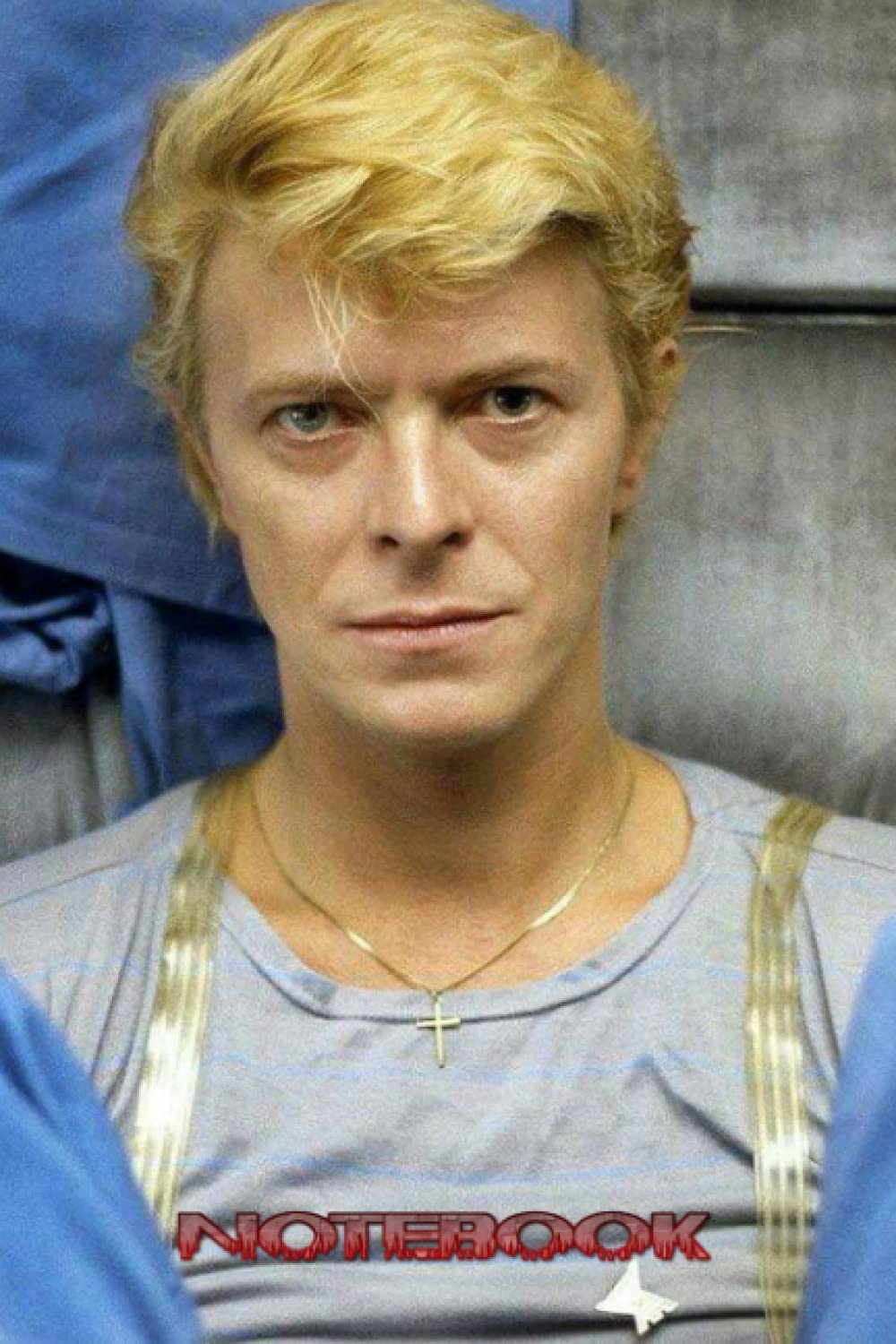 capítulo por capítulo baixar Notebook: David Bowie Wide Lined Pages - 6" x 9" - Planner, Thankgiving Notebook Journal,Diary for Women, Men #102