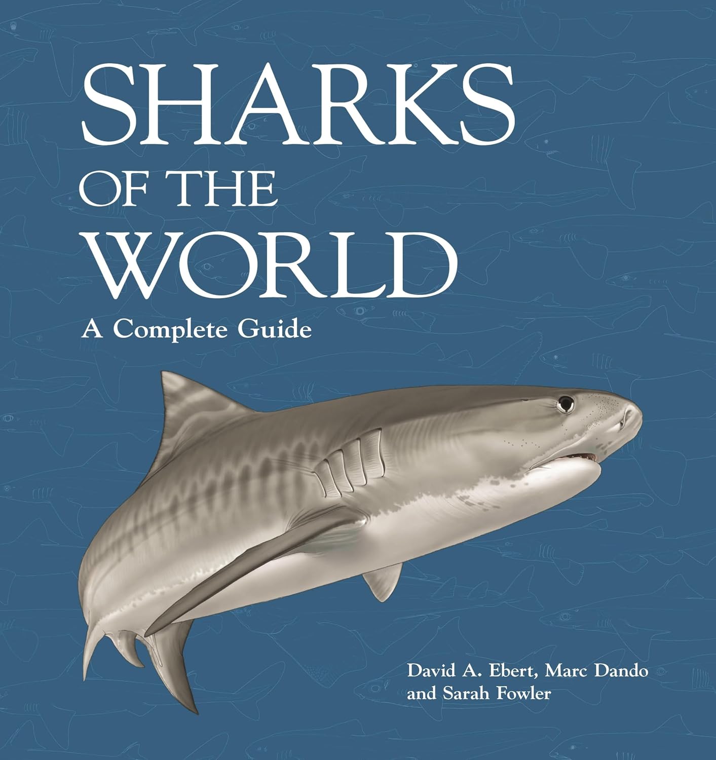 Sharks of the World: A Complete Guide: 19 baixar livro de graça