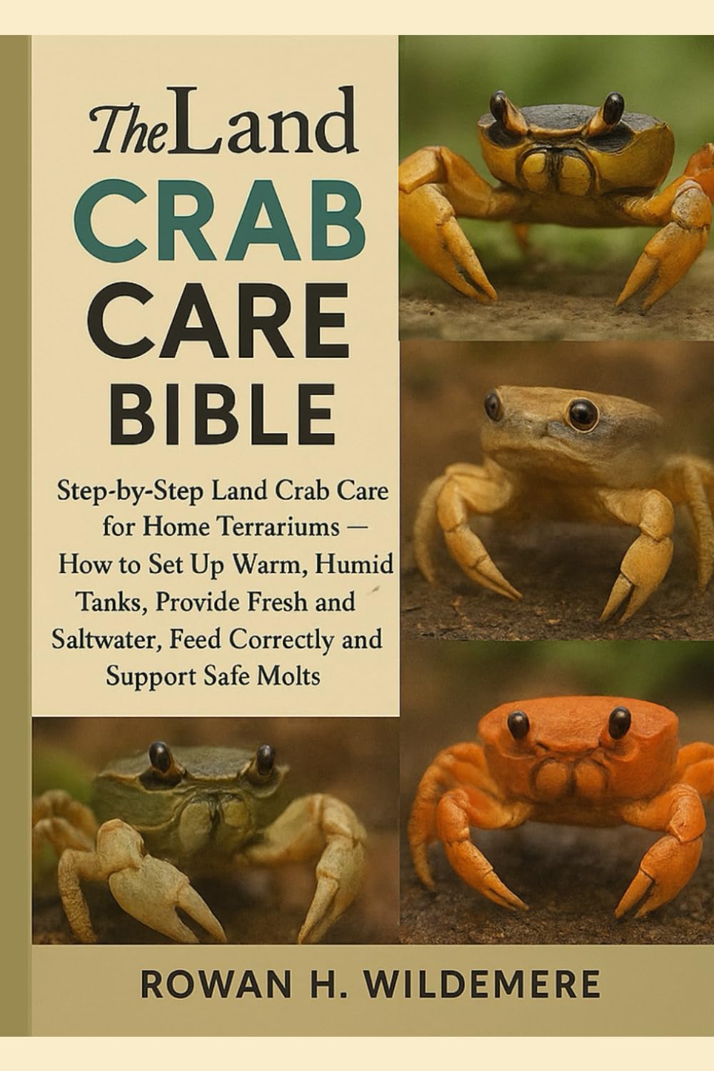 Land Crab Care Bible: Step-by-Step Land Crab Care for Home Terrariums – How to Set Up Warm, Humid Tanks, Provide Fresh and Saltwater, Feed Correctly and Support Safe Molts baixar o livro de graça