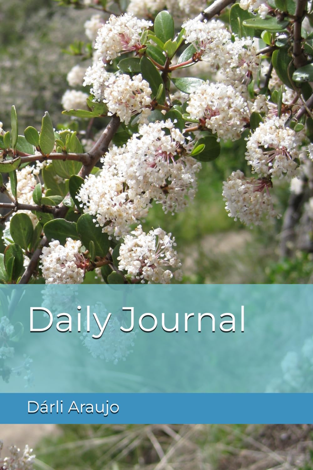 Daily Journal (Portuguese Edition) baixar livro de graça