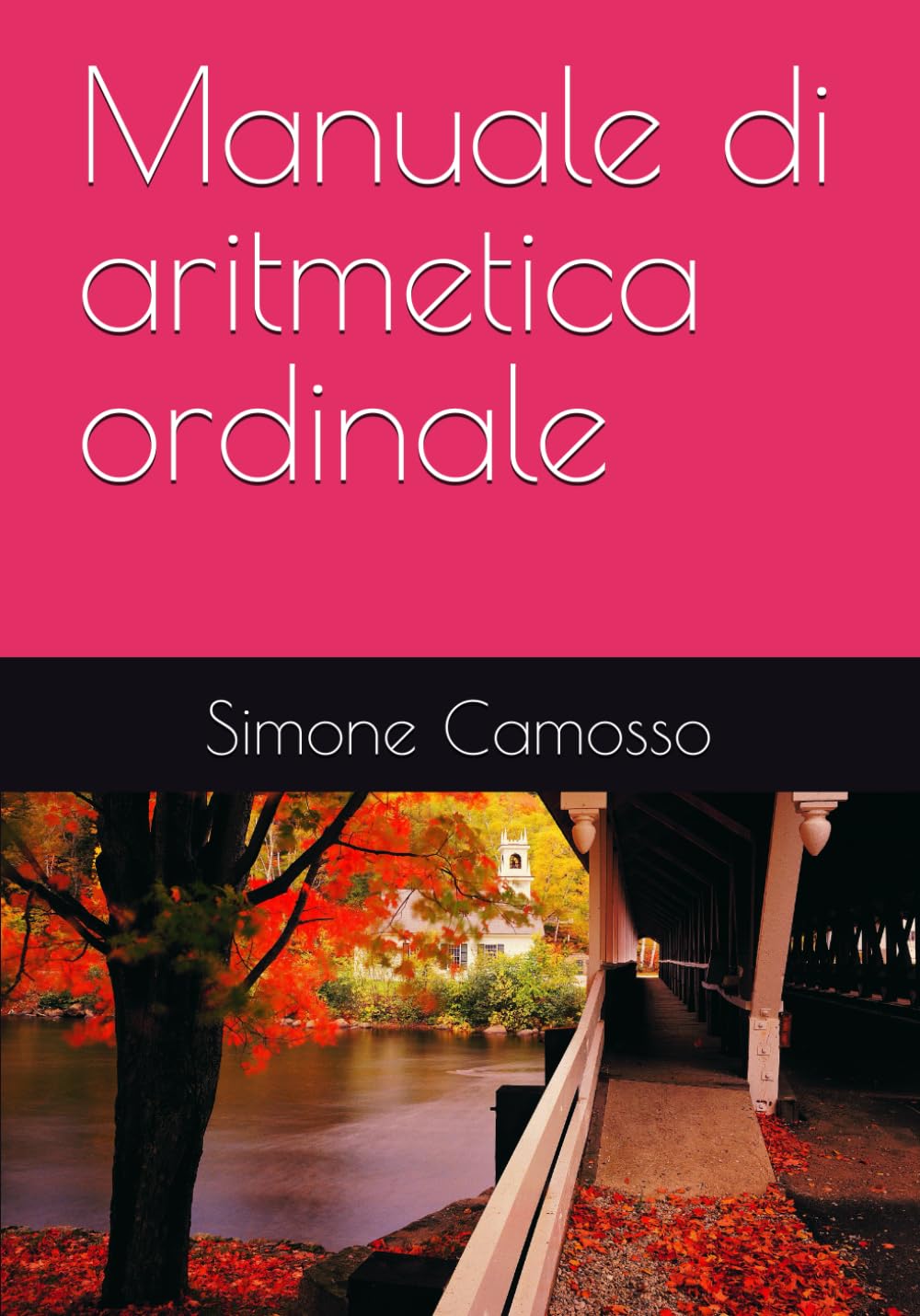 capítulo por capítulo baixar Manuale di aritmetica ordinale (Italian Edition)