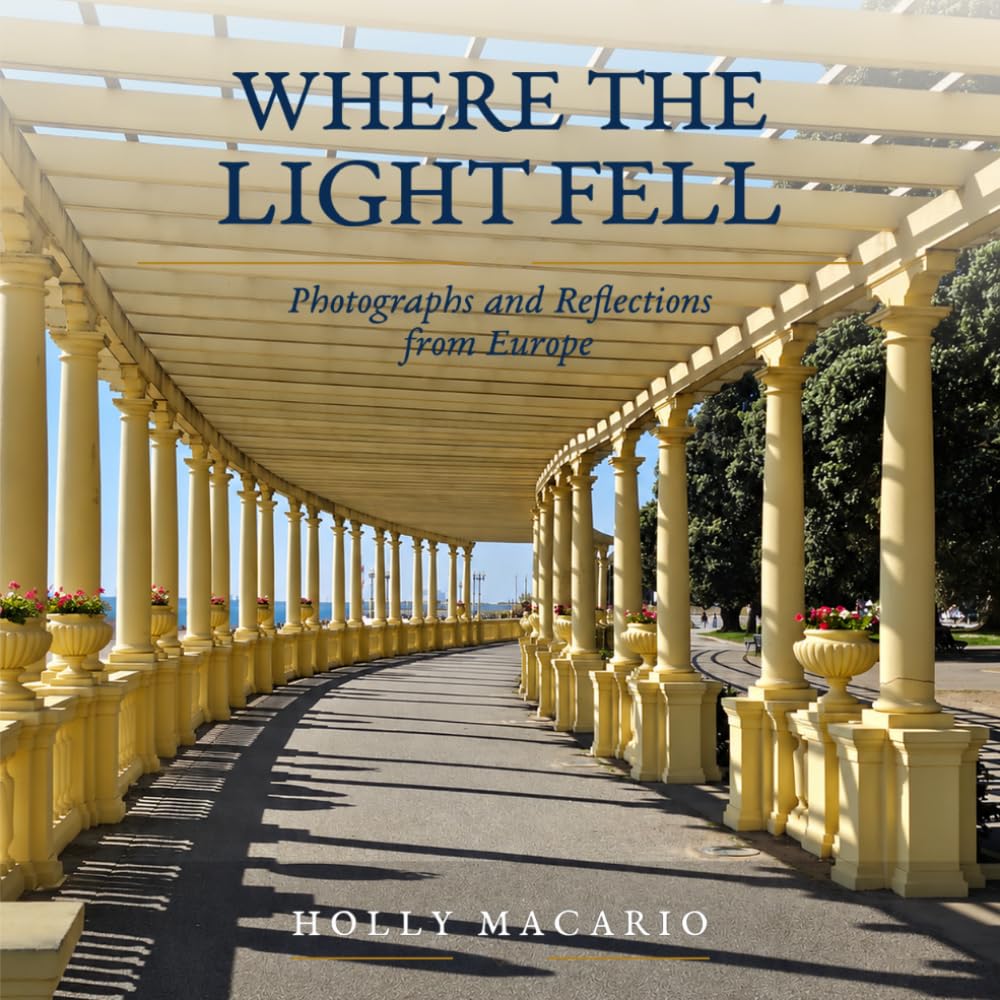 Where the Light Fell baixar o livro de graça