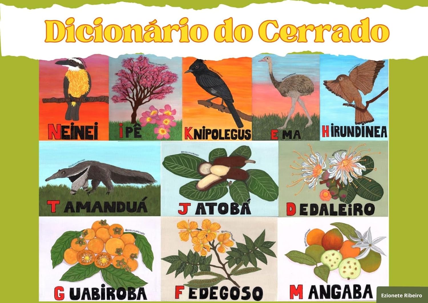 Dicionário do Cerrado baixar livro de graça