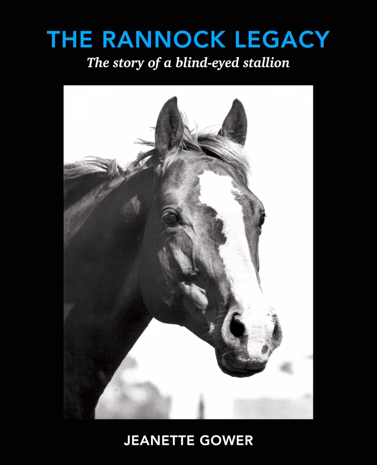 ler totalmente The Rannock Legacy: The story of a remarkable horse. (English Edition)