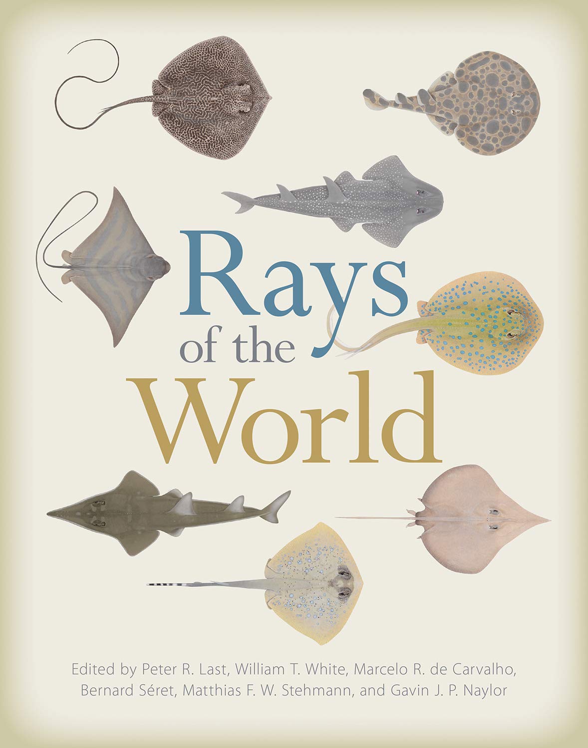 Rays of the World baixar o livro de graça