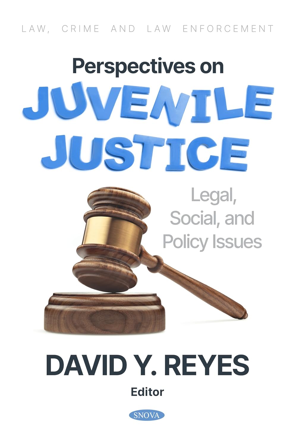 Perspectives on Juvenile Justice: Legal, Social, and Policy Issues baixar livro de graça