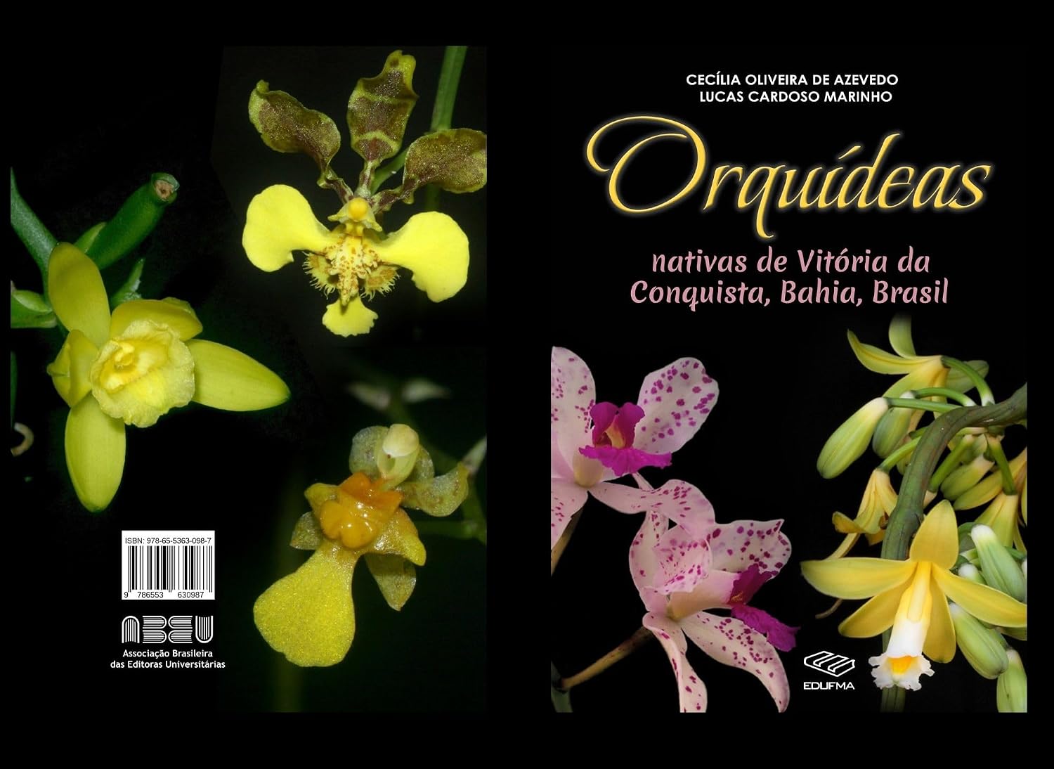 Orquídeas: nativas de Vitória da Conquista, Bahia, Brasil baixar o livro de graça