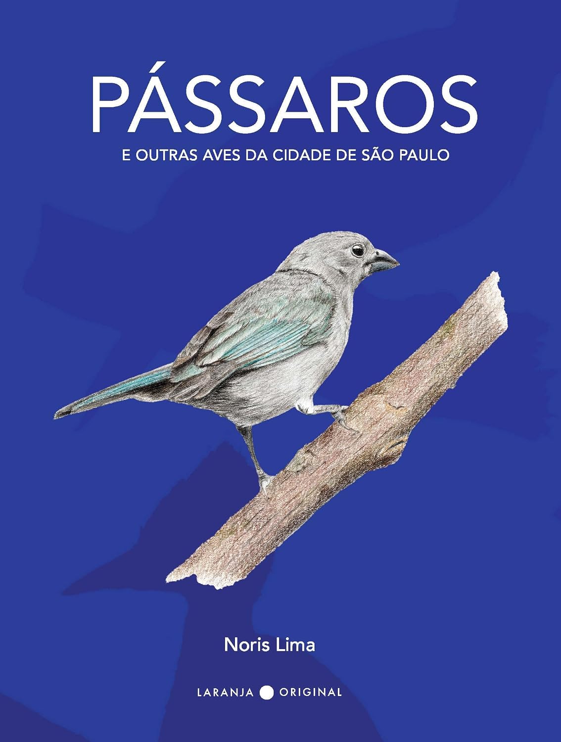 Pássaros e outras aves da cidade de São Paulo