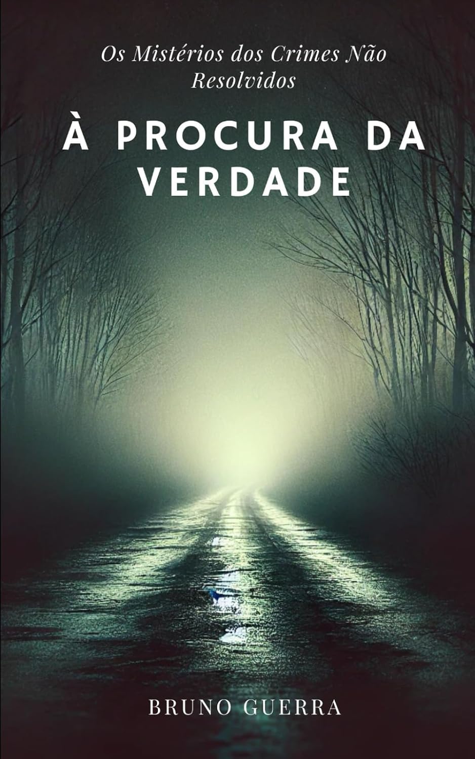 À Procura da Verdade: Os Mistérios dos Crimes Não Resolvidos (Portuguese Edition) baixar o livro de graça