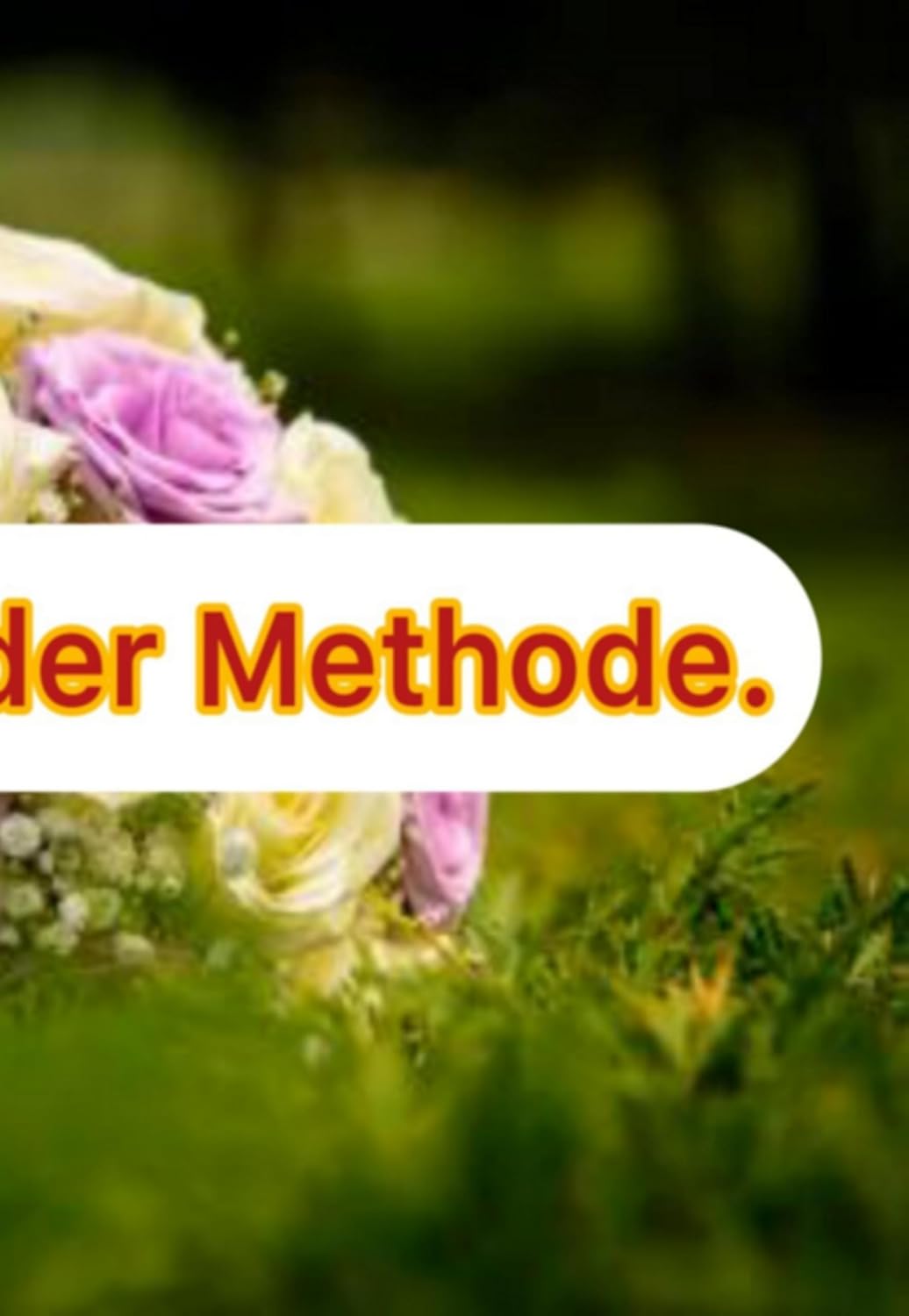 Der Diskurs Der Methode. (German Edition) baixar o livro de graça