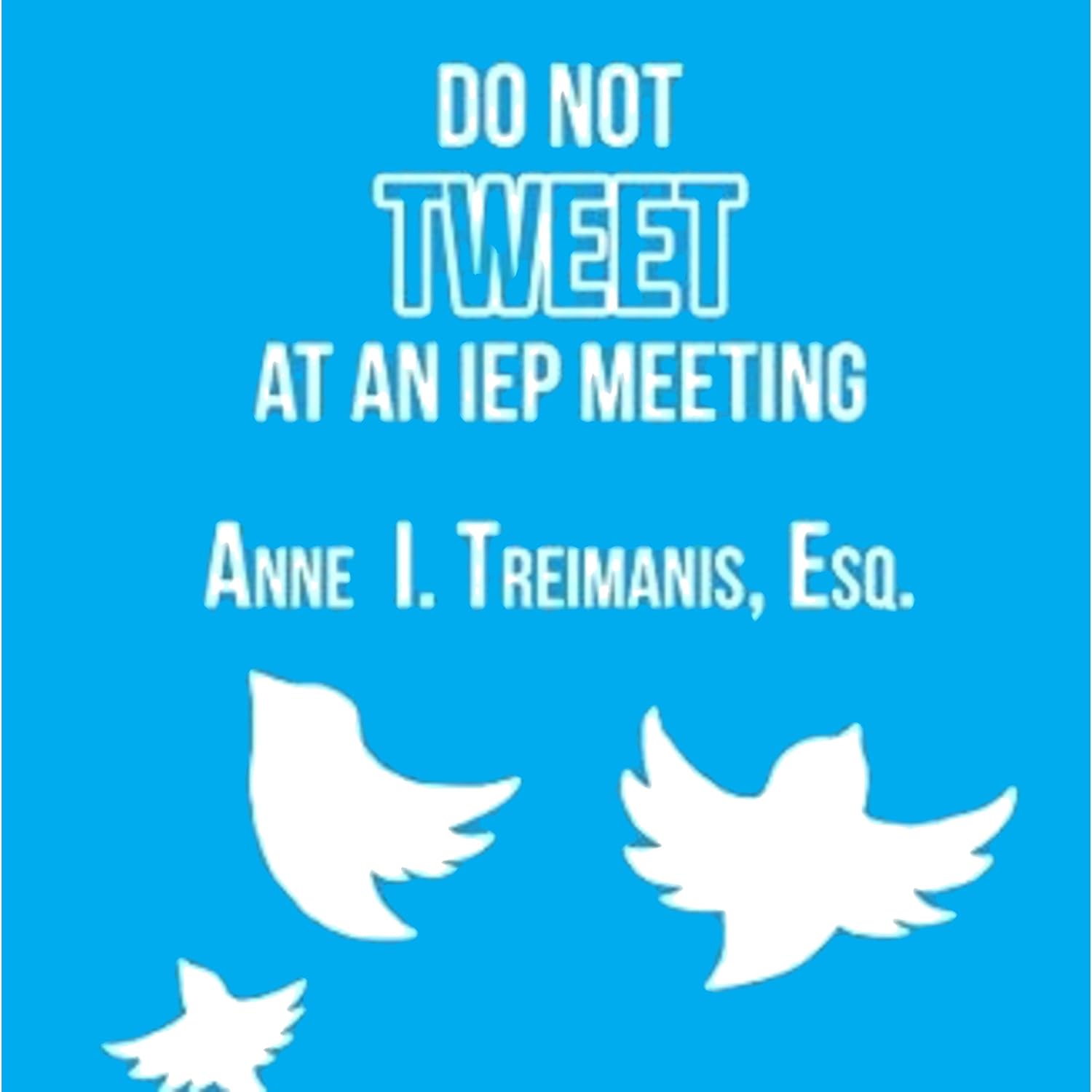 Do Not Tweet at an IEP Meeting: And Other Tips and Strategies to Negotiate Special Education Services baixar o livro de graça