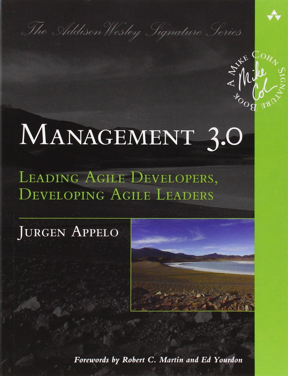 capítulo por capítulo baixar Management 3.0: Leading Agile Developers, Developing Agile Leaders