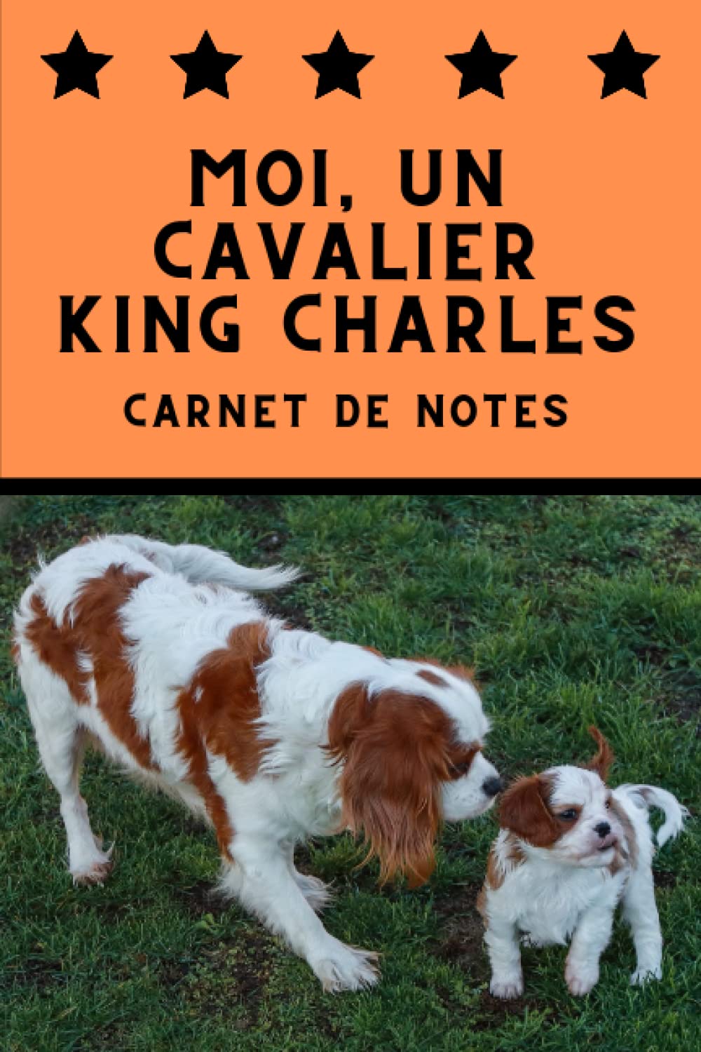 Moi, un Cavalier King Charles - Journal D'aventures: Carnet de notes (French Edition) baixar o livro de graça