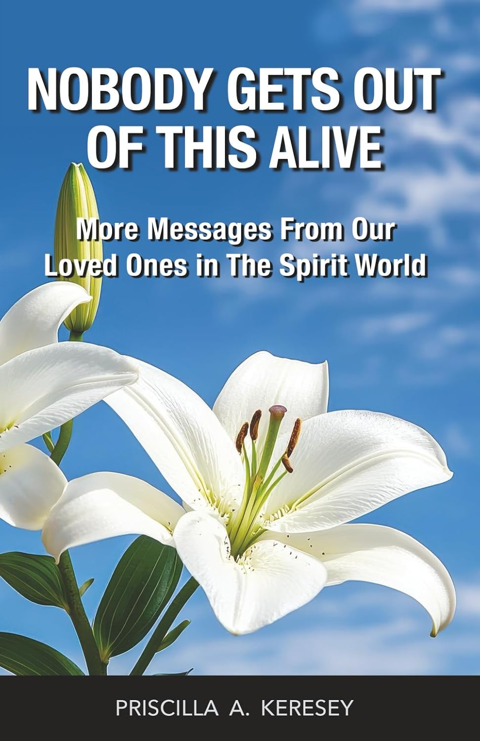 Nobody Gets Out of This Alive!: More Messages from Our Loved Ones in the Spirit World baixar o livro de graça