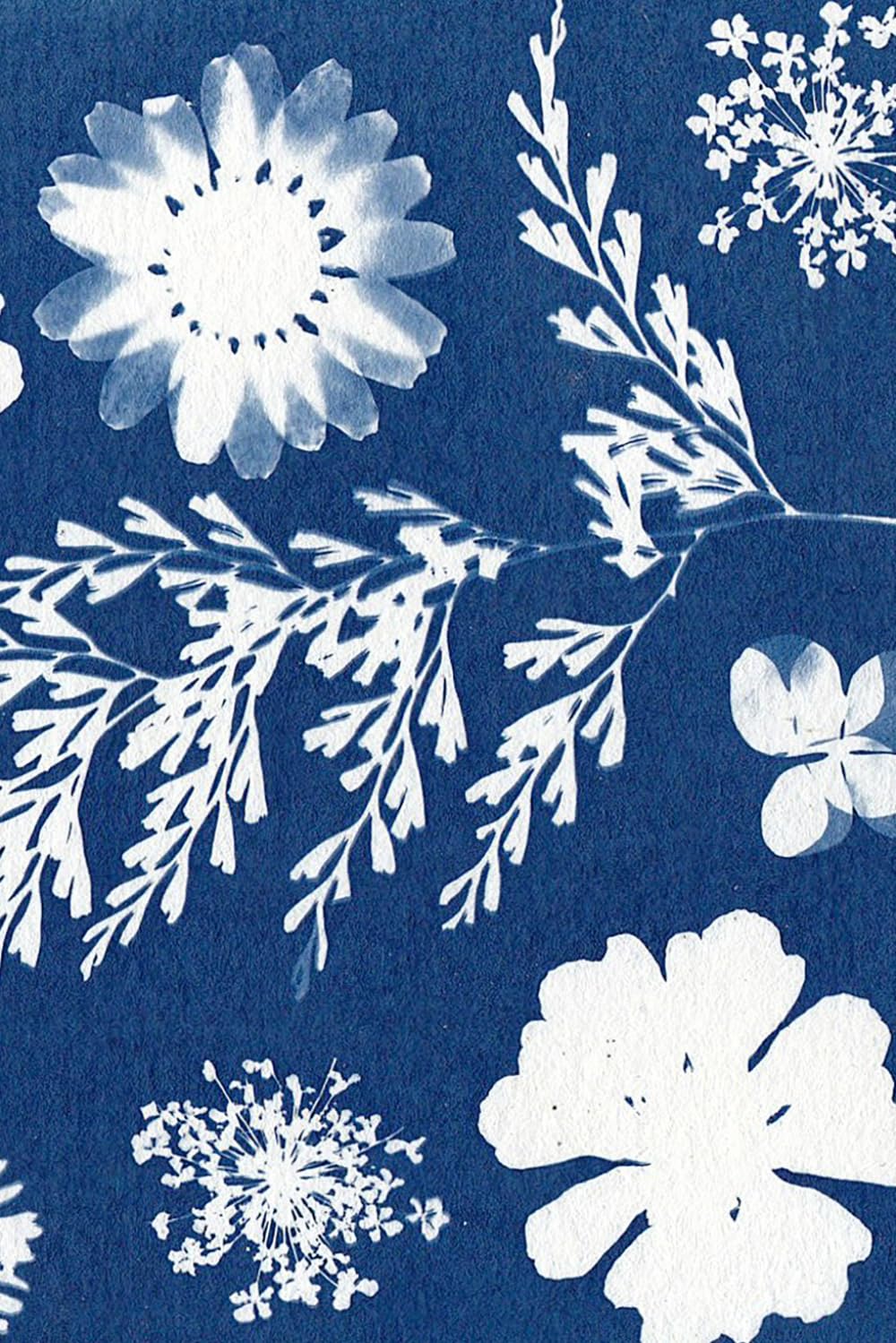 Creative Photography Journal: 80 Lined Notebook Pages for Photographers and Photography Students: Cyanotype Design baixar o livro de graça