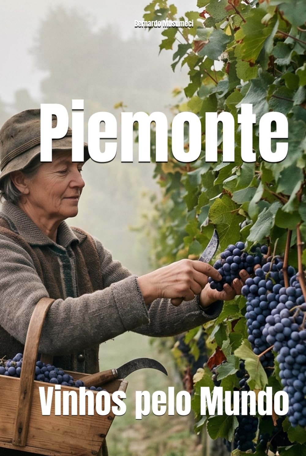 Piemonte: Vinhos pelo Mundo (Wines of the World: Italy) (Portuguese Edition)