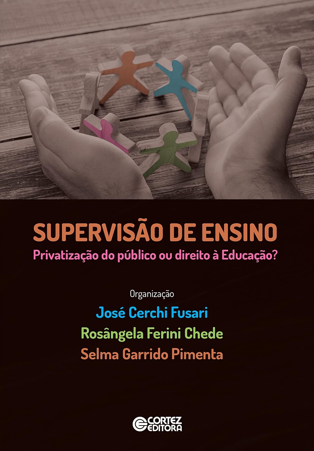 Supervisão de Ensino: privatização do público ou direito à Educação? baixar o livro de graça
