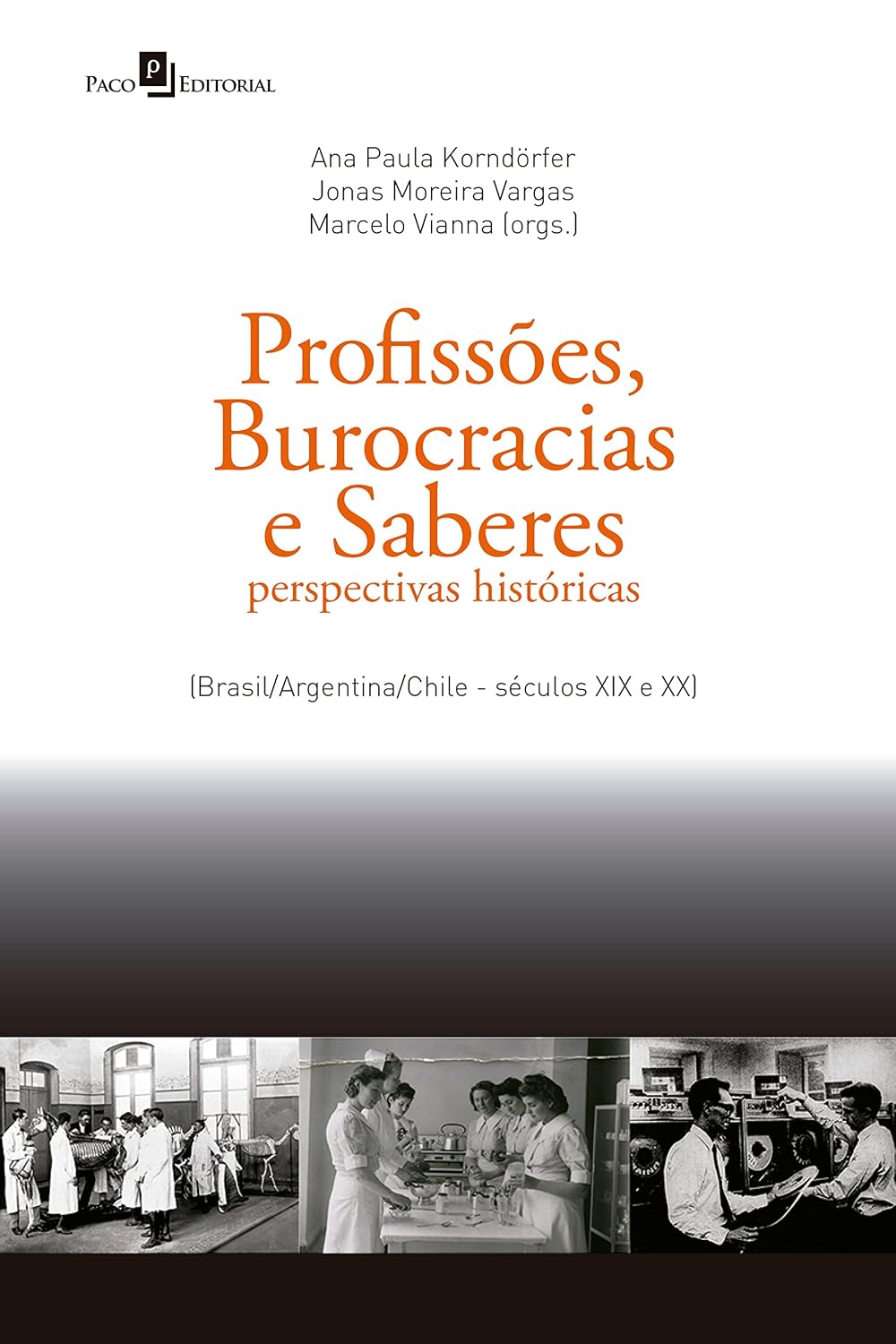 Profissões, Burocracias e Saberes: Perspectivas históricas (brasil/argentina/chile - séculos XIX e XX) baixar livro de graça