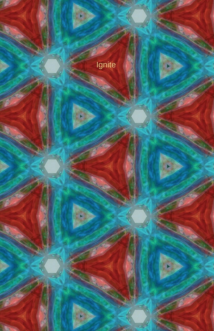 Ignite: Journal/Planner baixar livro de graça