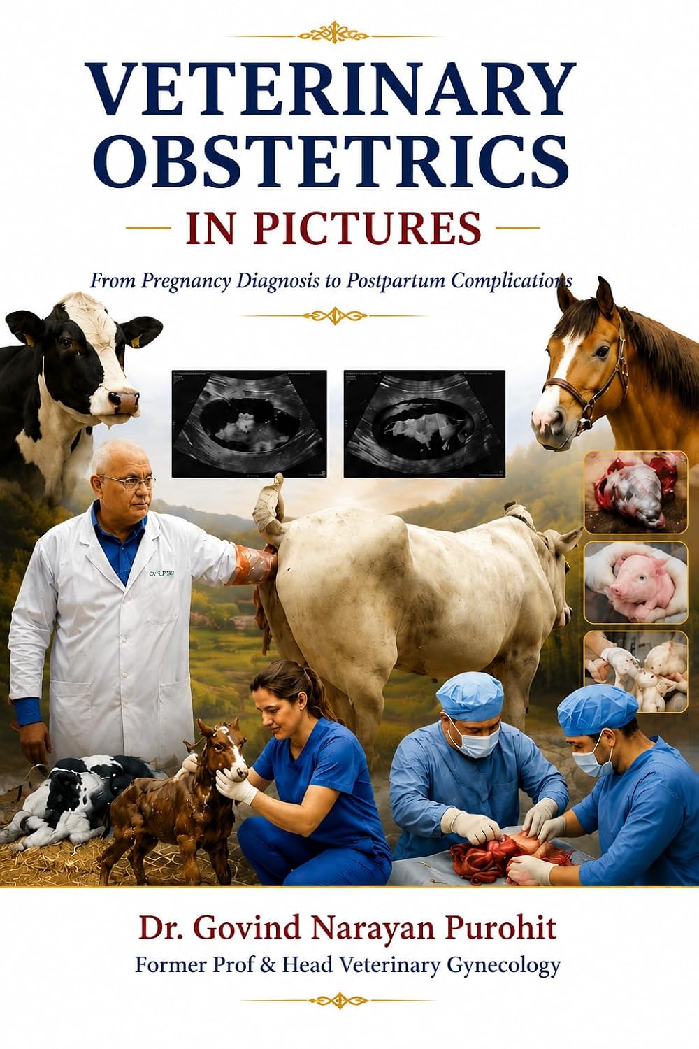 Veterinary Obstetrics In Pictures: From Pregnancy to Postpartum Complications: A Visual Guide to Pregnancy, Fetal Development, Dystocia and Obstetrical... Farm and Companion Animals (English Edition) baixar o livro de graça