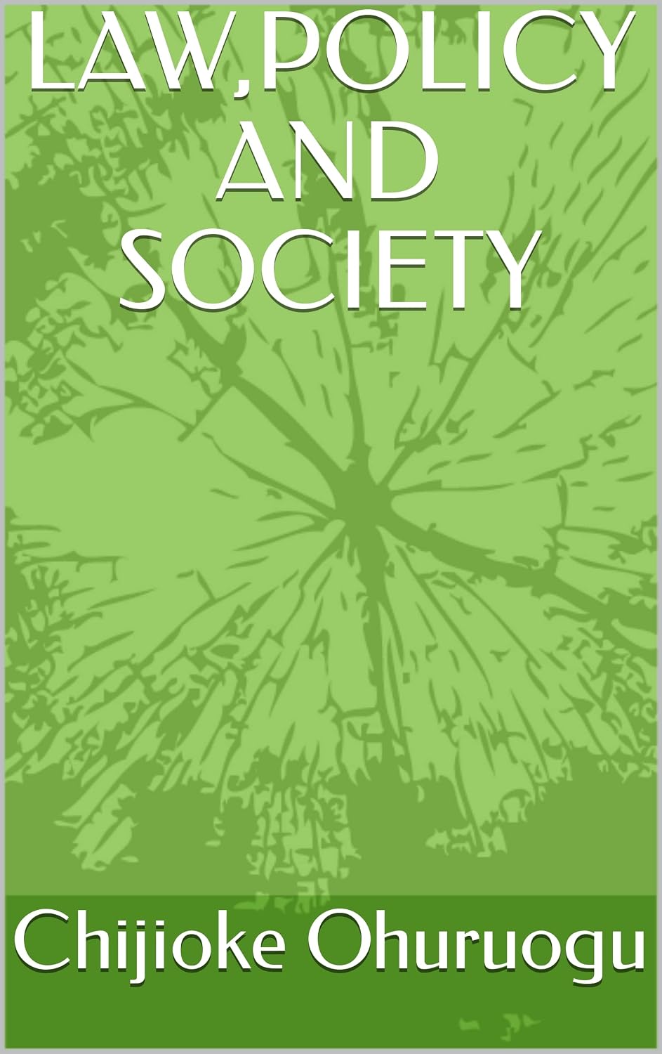 LAW,POLICY AND SOCIETY (English Edition) baixar o livro de graça