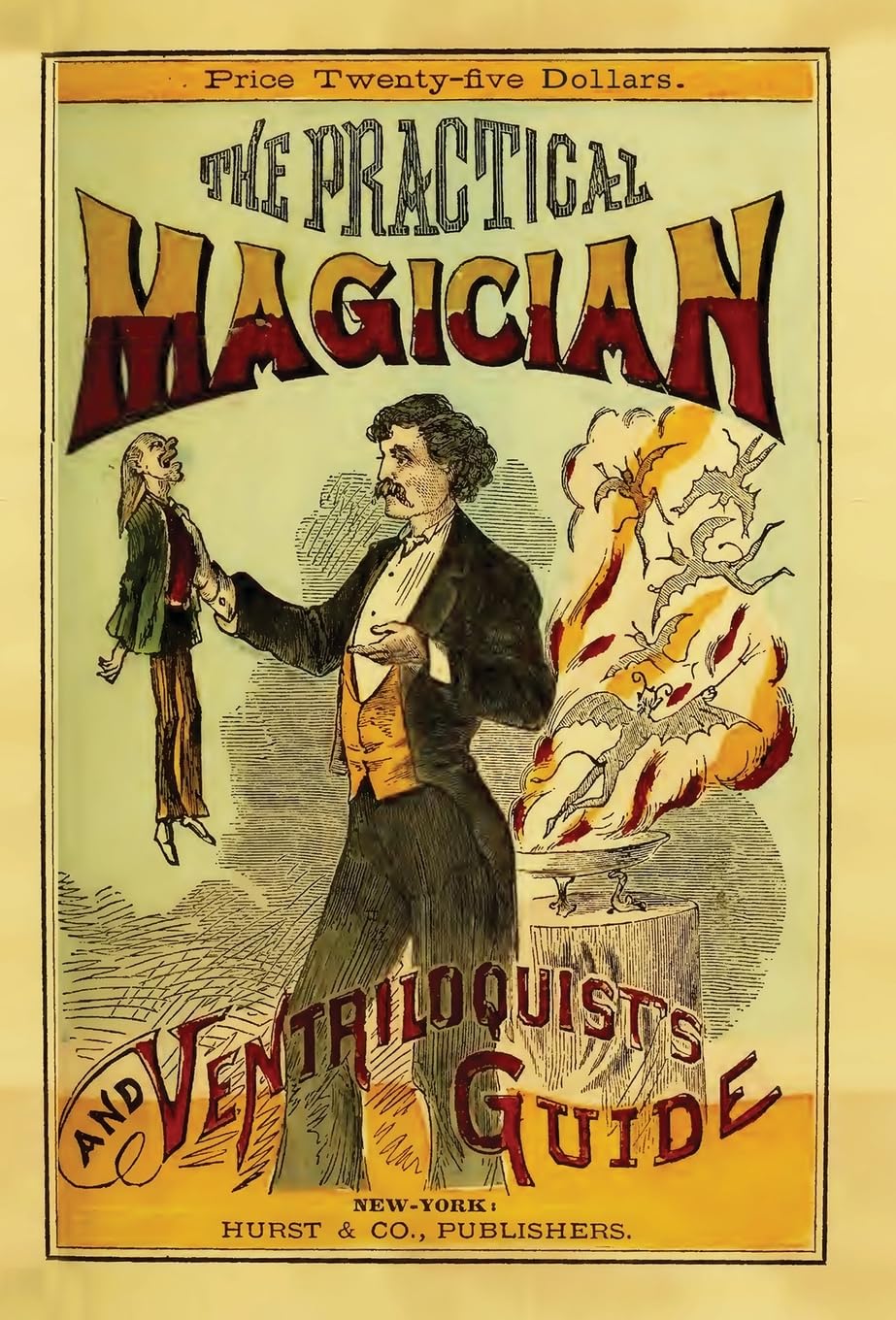 ler totalmente The Practical Magician and Ventriloquist's Guide