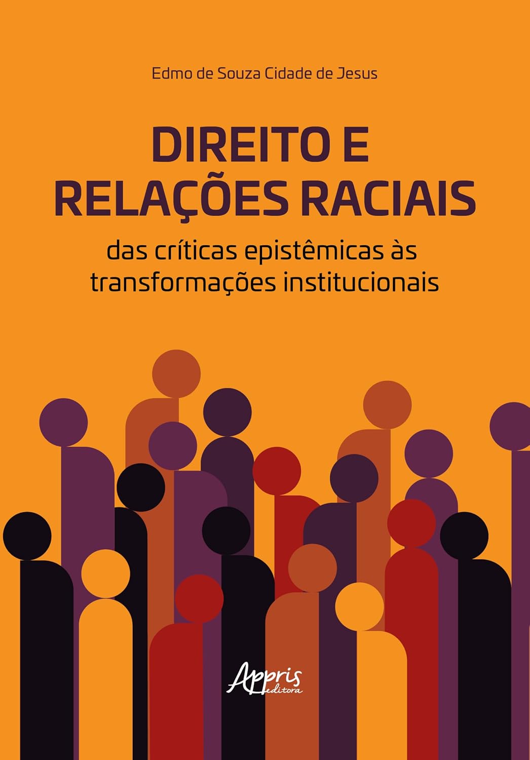 Direito e Relações Raciais: Das Críticas Epistêmicas às Transformações Institucionais baixar o livro de graça