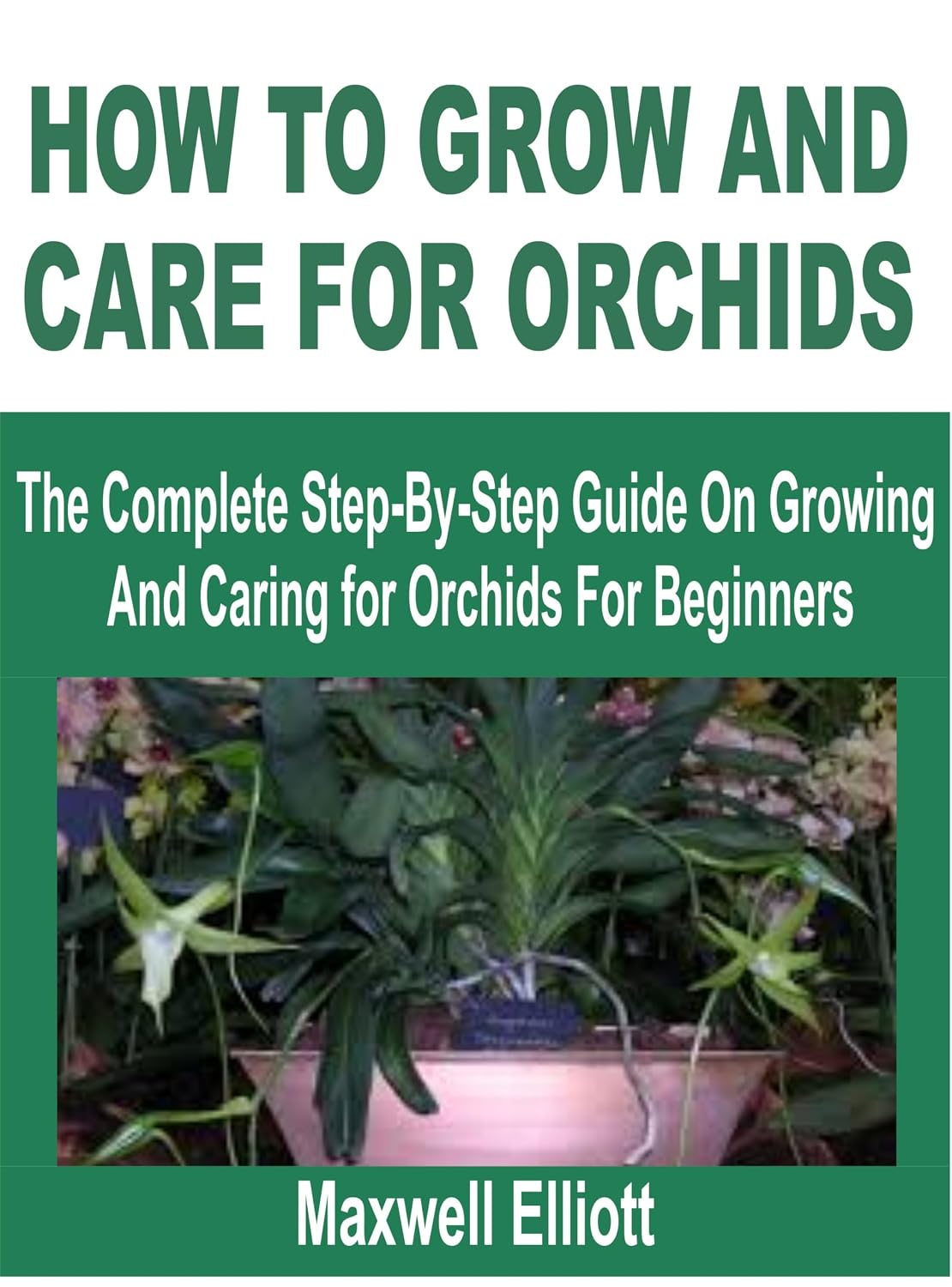 ler totalmente HOW TO GROW AND CARE FOR ORCHIDS: The Complete Step-by-Step Guide on Growing and Caring for Orchids for Beginners (English Edition)