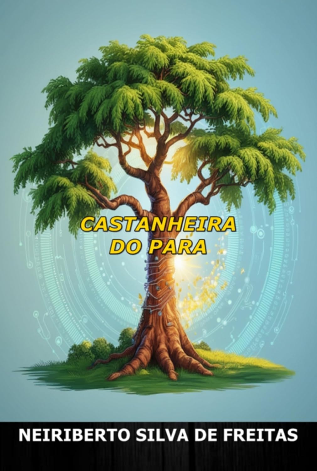 Castanheira Do Pará baixar livro de graça