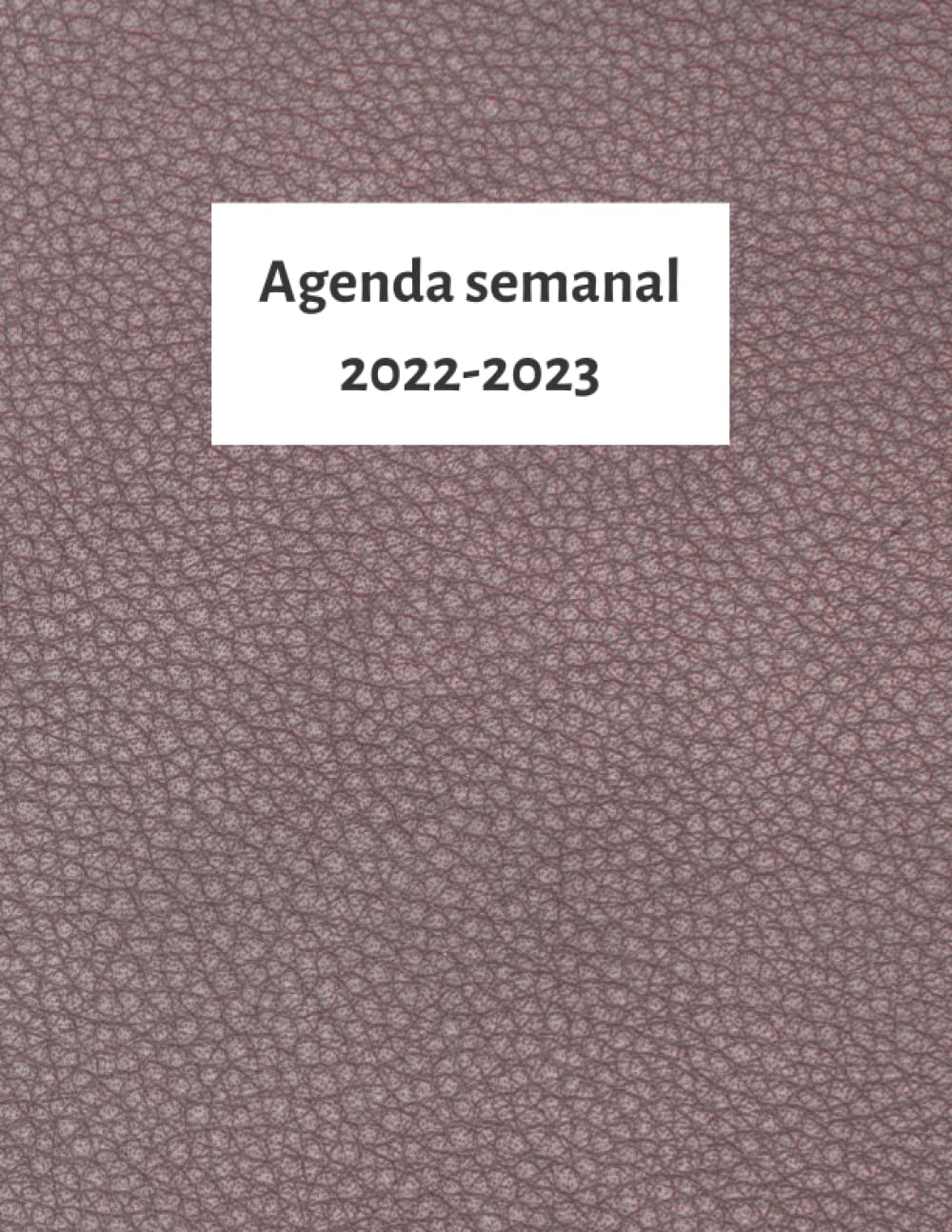 agenda semanal 2023-2024 (Spanish Edition) baixar livro de graça