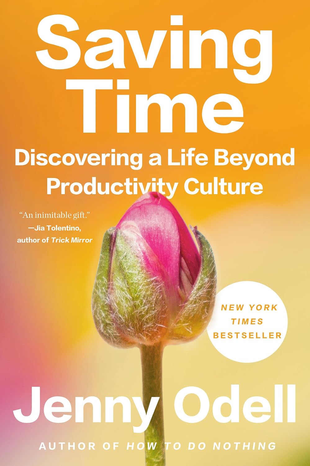 capítulo por capítulo baixar Saving Time: Discovering a Life Beyond Productivity Culture (English Edition)