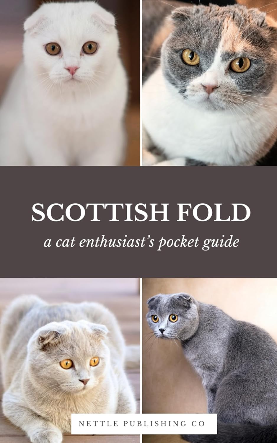 Scottish Fold Cats | A Complete Pocket Guide Book: Breed-Specific Care Handbook With Pet Passport with Records Logbook baixar livro de graça