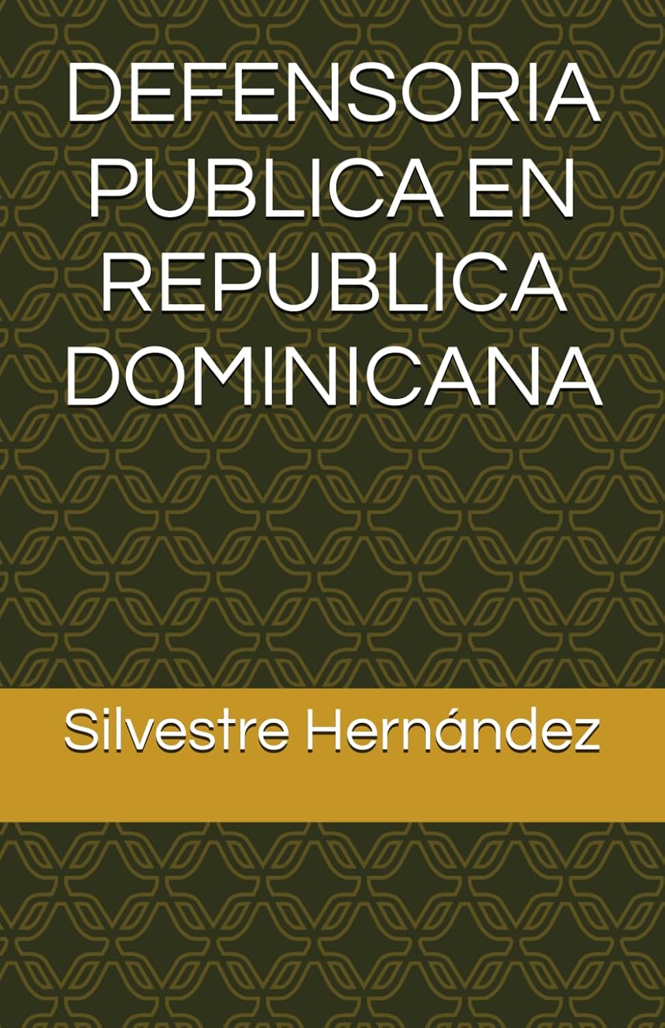 ler totalmente DEFENSORIA PUBLICA EN REPUBLICA DOMINICANA (Spanish Edition)
