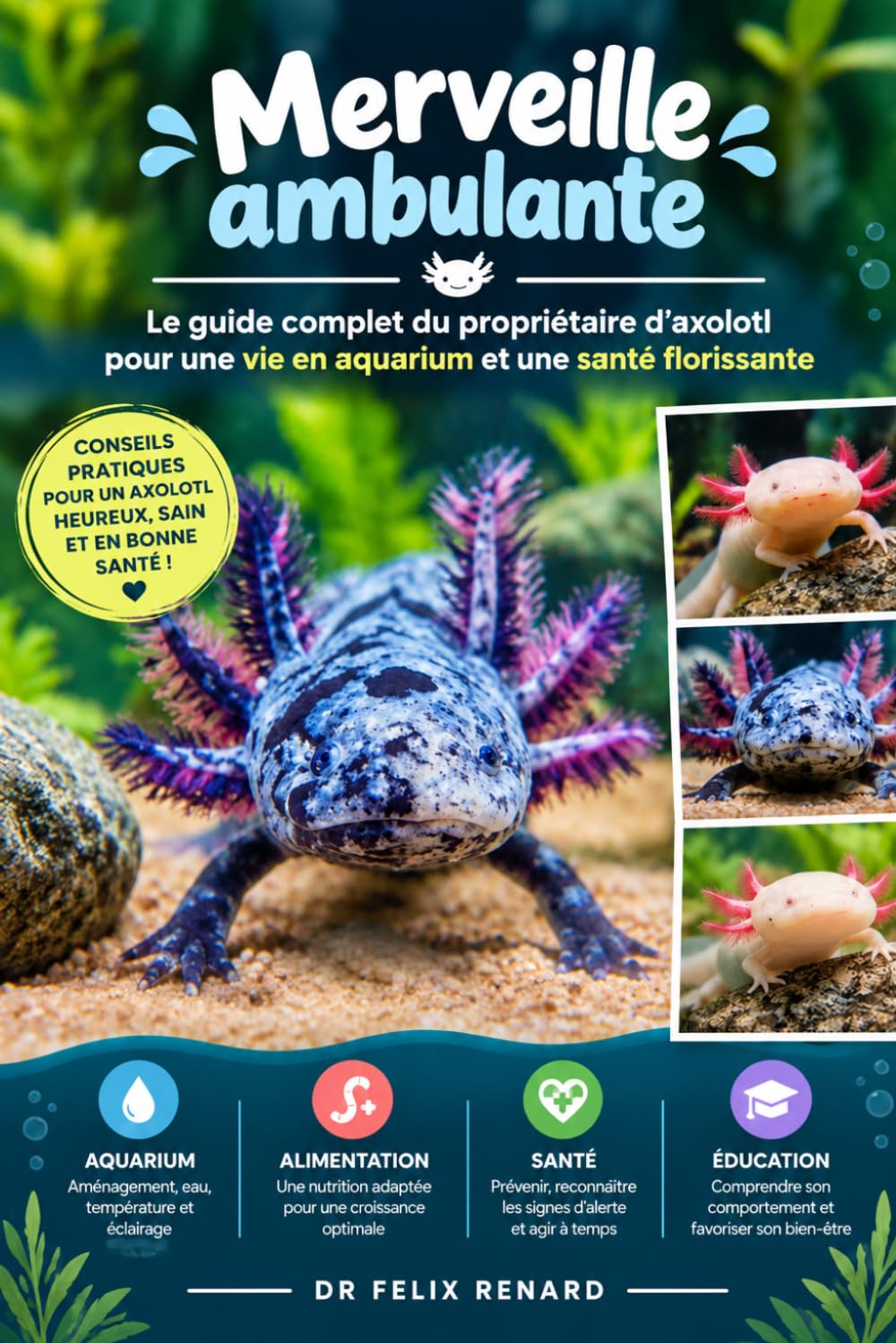 capítulo por capítulo baixar Merveille ambulante: Le guide complet du propriétaire d'axolotl pour une vie en aquarium et une santé florissante
